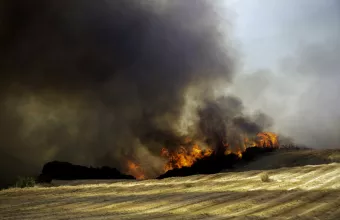 Φωτιά στη Μαγνησία