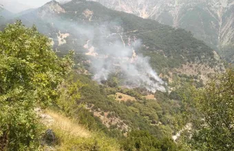 Υπό έλεχγο η πυρκαγιά στο Πετρωτό Αργιθέας