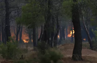 Πάρνηθα