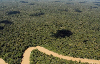 Βρέθηκαν οι τουρίστες που είχαν χαθεί στη ζούγκλα