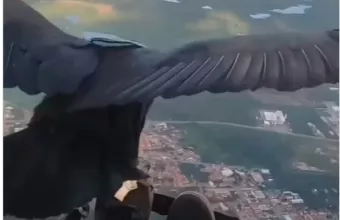 Αετός 