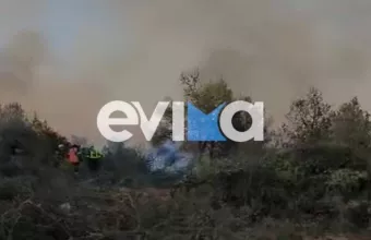 φωτιά, Εύβοια