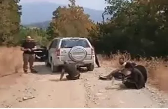 Έβρος