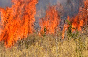 Πολύ υψηλός κίνδυνος πυρκαγιάς σε Αττική, Στερεά και Βόρειο Αιγαίο