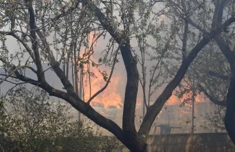Πρόγραμμα Αρωγή: Από σήμερα μπαίνουν τα λεφτά για τους πυρόπληκτους του Ιουλίου