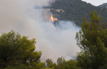 Ελλάδα: Αντιμέτωπη με 105 πυρκαγιές η πυροσβεστική
