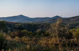 Χαλκιδική: Δωδεκάωρη απαγόρευση κυκλοφορίας αύριο σε δάση του νομού