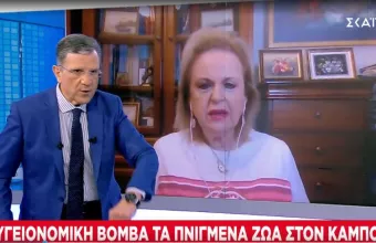 Παγώνη στον ΣΚΑΙ