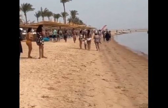 Αίγυπτος επίθεση καρχαρία