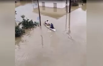 Καρδίτσα