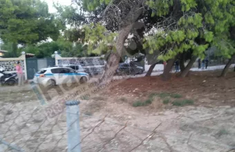 ΑΡΤΕΜΙΔΑ