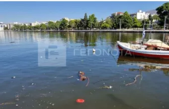 Παγασητικός