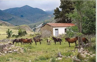 Ιμβρος: Το κρυφό σχολείο μέσα από μαρτυρίες κατοίκων του νησιού 