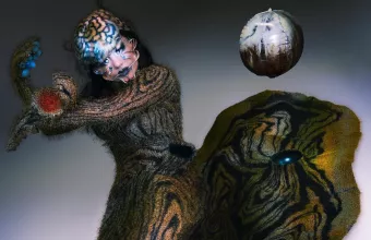 Η Björk 