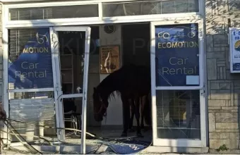 άλογο