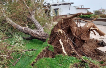 Κακοκαιρία «Π» στην Αλεξανδρούπολη: Τραυματισμός γυναίκας από τζαμαρία