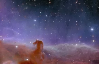 Horsehead nebula