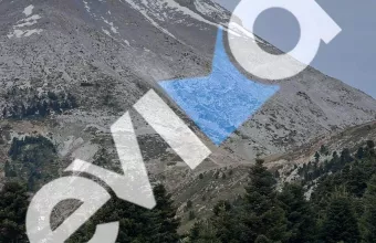 Περιπατητης