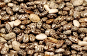 chia