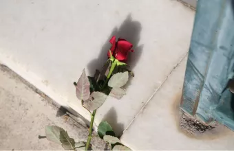 Νεά Σμύρνη