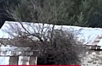 άλογα γρεβενα