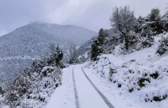 χιονια