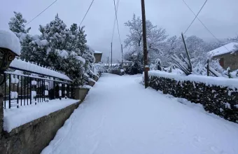 χιόνια