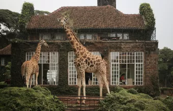 amazing_hotels_kenya