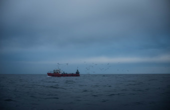 Barents sea