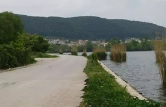 Επίθεση σκύλων σε ηλικιωμένο