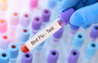 Πρώτος θάνατος ανθρώπου εξαιτίας της γρίπης των πτηνών