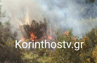 Φωτιά στο Λουτράκι- Επιχειρούν πυροσβέστες και εθελοντές