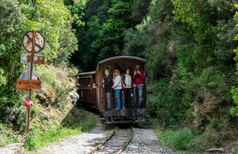 Ξανά στις ράγες το τρενάκι του Πηλίου για μία αξέχαστη διαδρομή 
