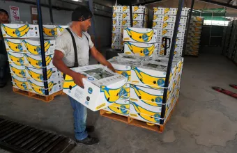 Chiquita