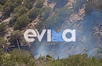 Φωτιά στην Εύβοια μετά από ατύχημα με σκαπτικό μηχάνημα
