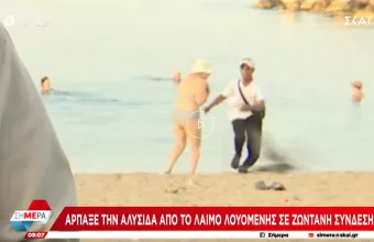 κλέφτης