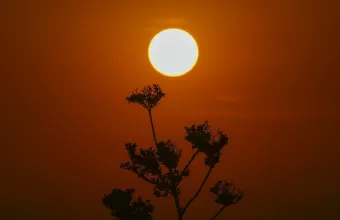 κλιματική αλλαγή