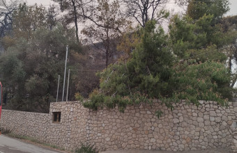 Φωτιά στην Ηλεία: Ζημιές στο σπίτι του Τζόρτζεβιτς στα Χανάκια