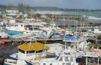 Καραϊβική τυφώνας Μπέριλ 