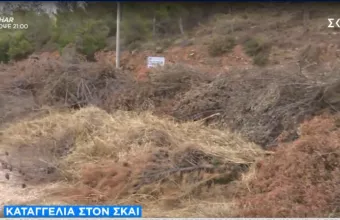 καταγγελία