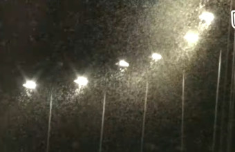 Λάρισα: Ένα ασύλληπτα μεγάλο σμήνος από έντομα κάλυψε την πόλη - Βίντεο