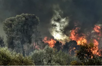 Φωτιά