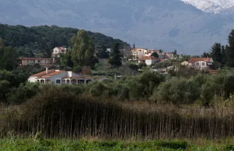 κριτι 