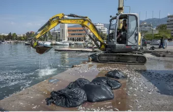 Βόλος