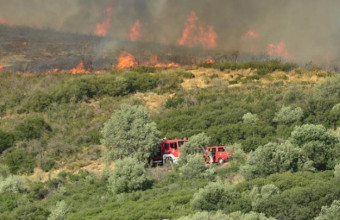 Κρήτη: Φωτιά σε χορτολιβαδική έκταση στον Κοξαρέ