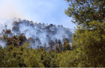 Θεσσαλονίκη: Φωτιά στον Λαγκαδά