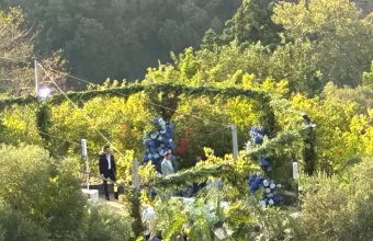 Κασσελάκης