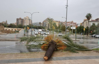 Μαγιόρκα