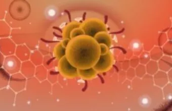 Κρούσματα της mpox στην Ακτή Ελεφαντοστού