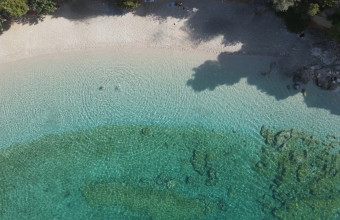 Προσήλι: Ανακαλύψτε την άγνωστη, αλλά παραδεισένια παραλία μια ανάσα από την Αθήνα 